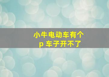 小牛电动车有个p 车子开不了